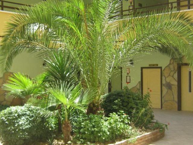 Oya Apartments Κουσάντασι Εξωτερικό φωτογραφία
